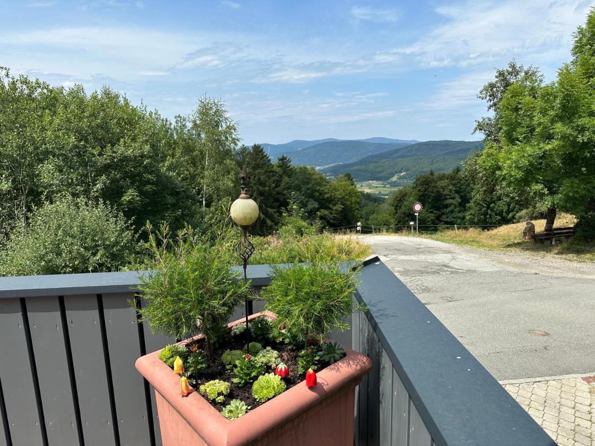 Modernes Top Apartment Mitten Im Bayerischen Wald + Wlan Kostenfrei Schöfweg Екстериор снимка