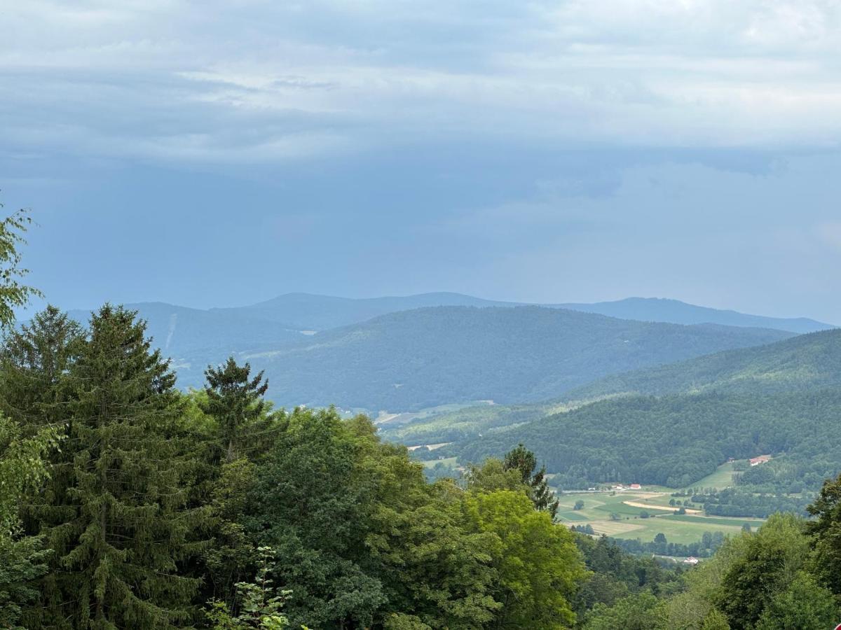 Modernes Top Apartment Mitten Im Bayerischen Wald + Wlan Kostenfrei Schöfweg Екстериор снимка
